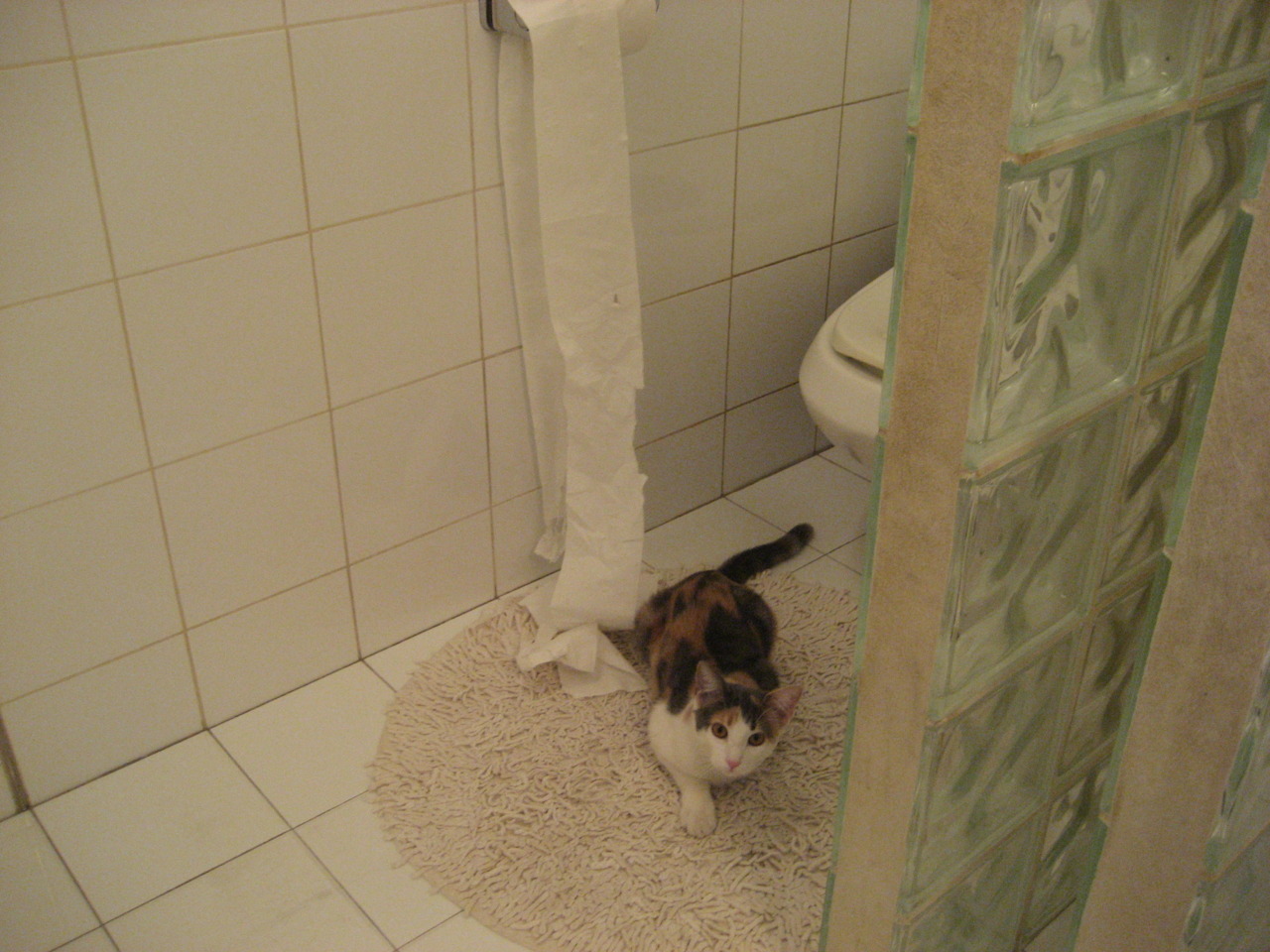 双线破局，日本队战术碾压与马琳纪录之夜，亚洲球类运动新纪元已至