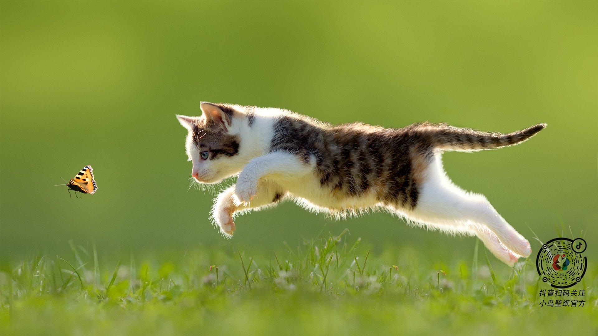 羽坛巨变!泰国队险胜丹麦,黄鸭组合扛起全队书写亚洲新传奇