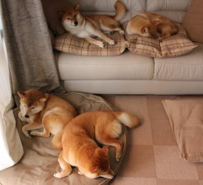 命运之轮于冷峻中转动,雷诺精密逆袭,诺里斯划破长空