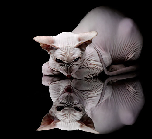 爱游戏在线-燃烧双肺的惊魂赛！詹姆斯狂飙36分，青岛悬崖边的逆袭竟是故意安排？