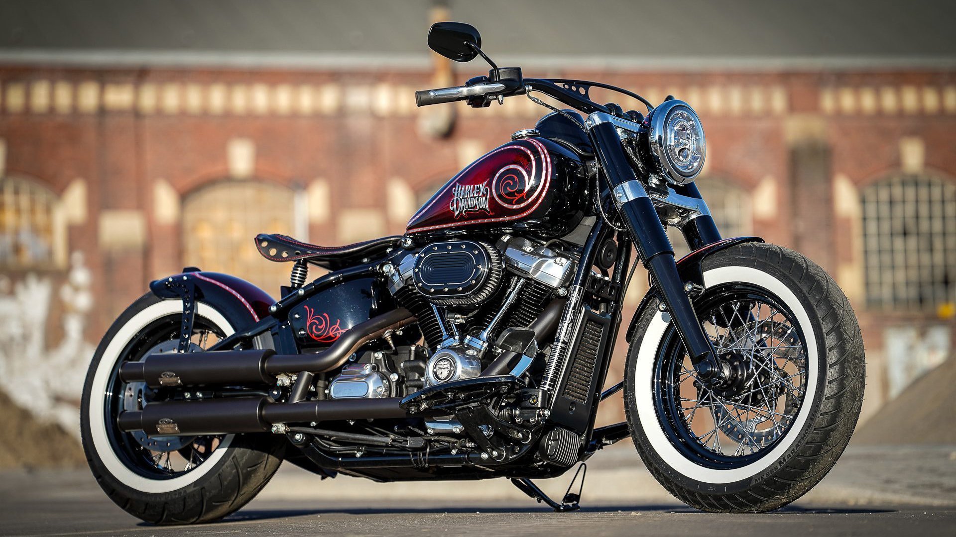 双面黄鸭，谦逊羽毛下藏着的印尼利刃