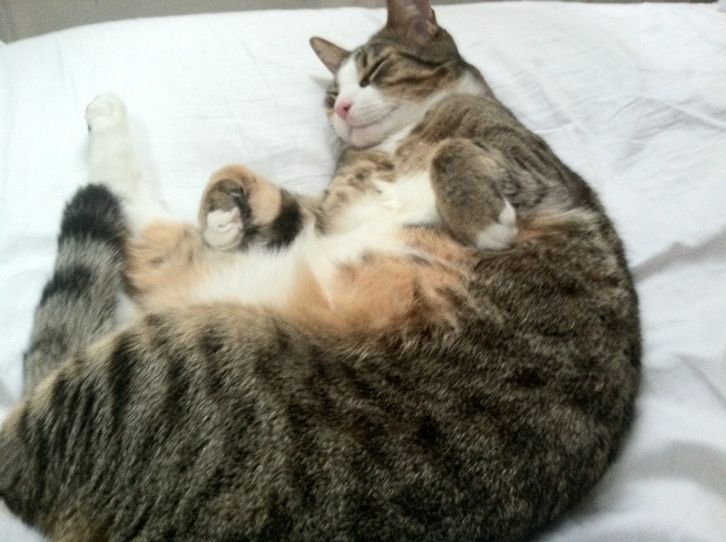 新世界碰撞旧王权,拉什福德双响助曼联3-0完胜巴西国家队