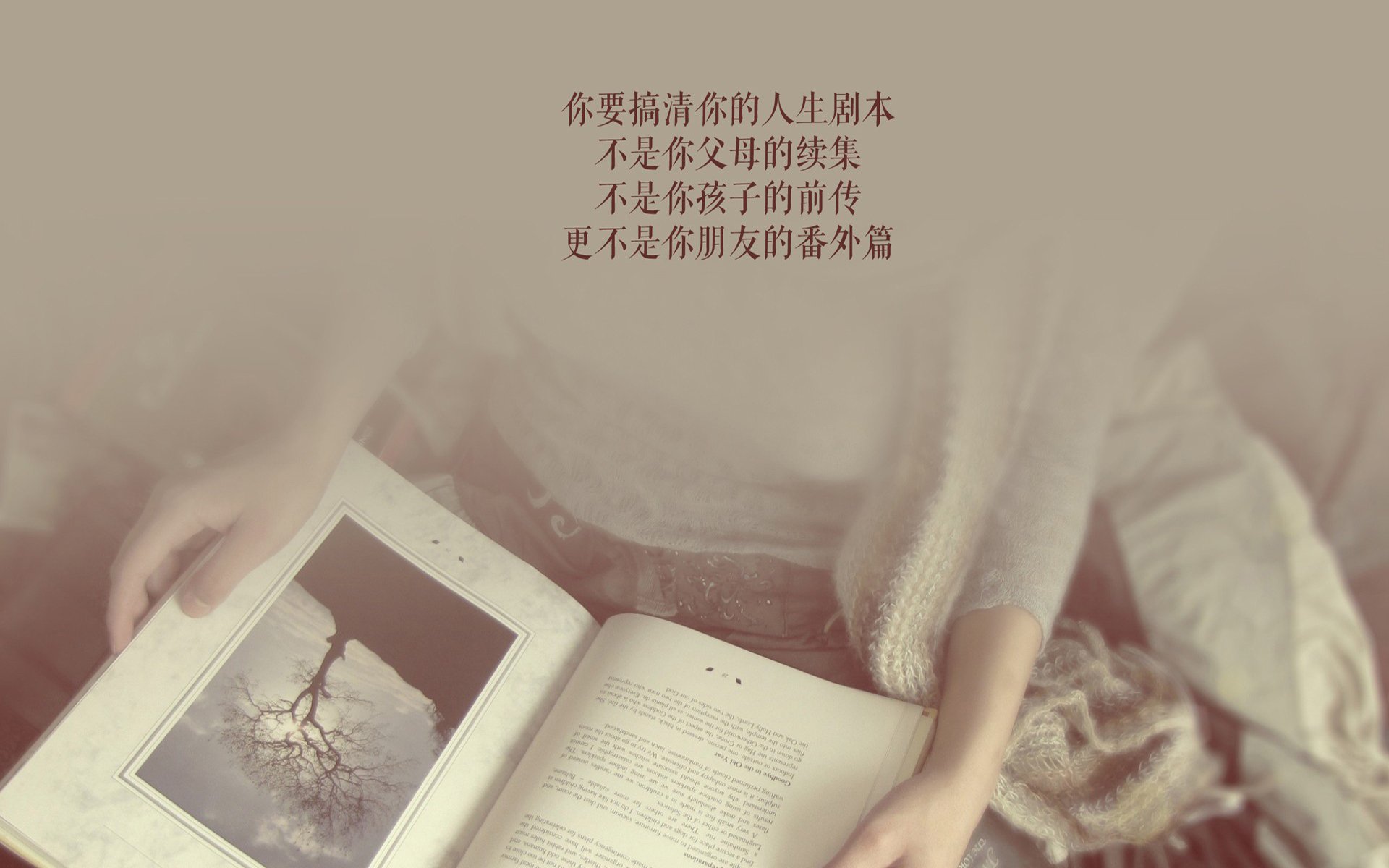 范弗利特，在巨兽的棋盘上，落下最后一枚手术刀