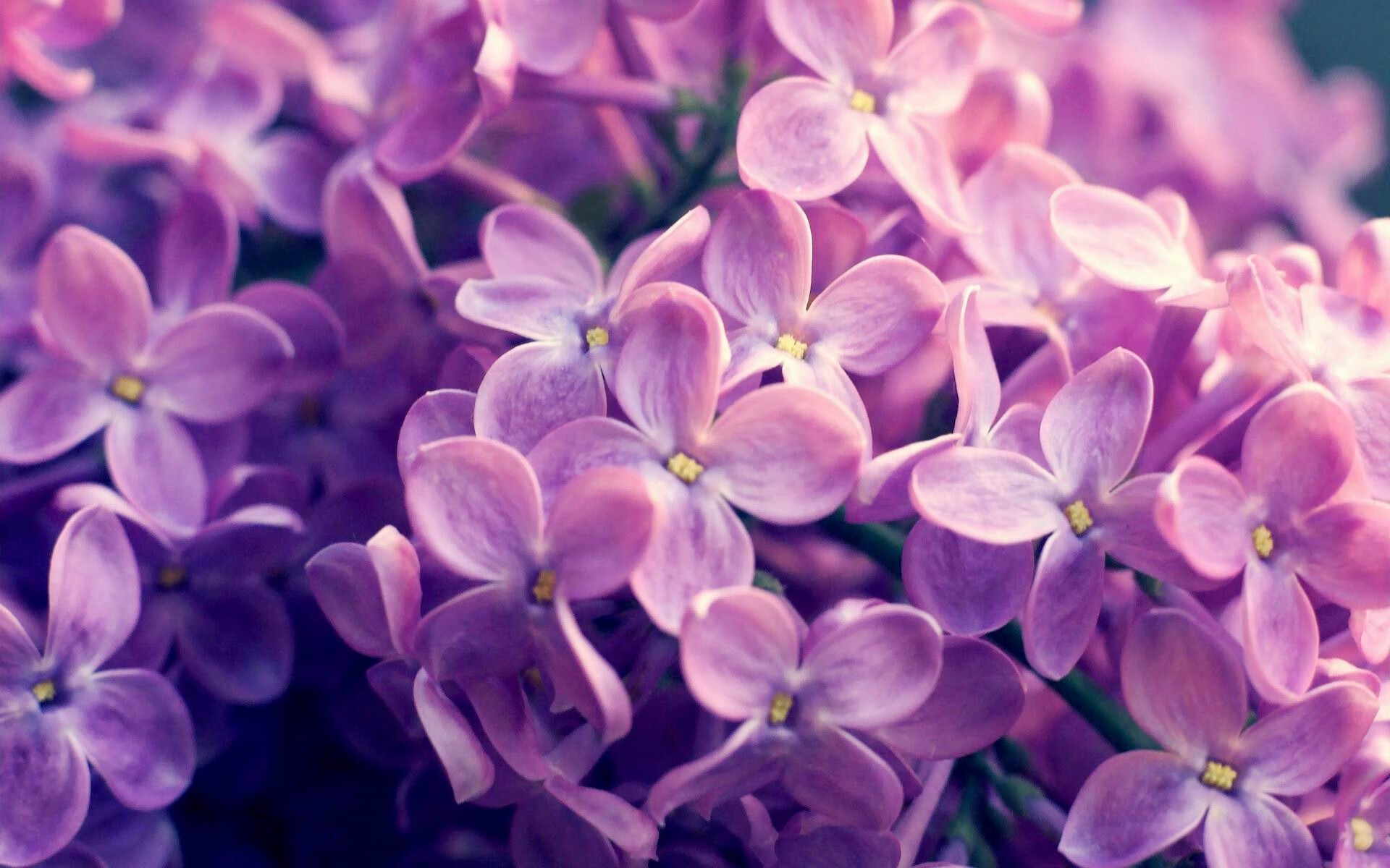 跨界之战，AC米兰篮球革命，巴尔韦德末节神迹压哨征服南非