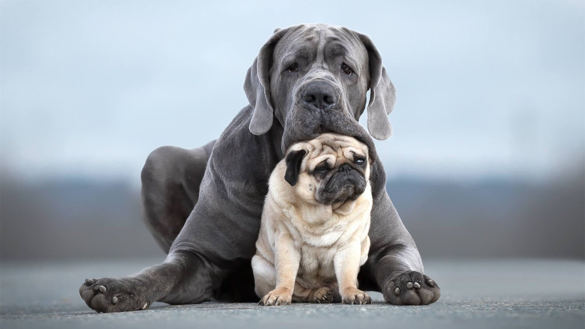 跨越时代的压制与接管，公牛的铁血征程与哈登的孤胆传奇
