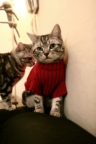 爱游戏下载-攻陷维京海盗的黄昏，福登如何撕开挪威的铁壁防线