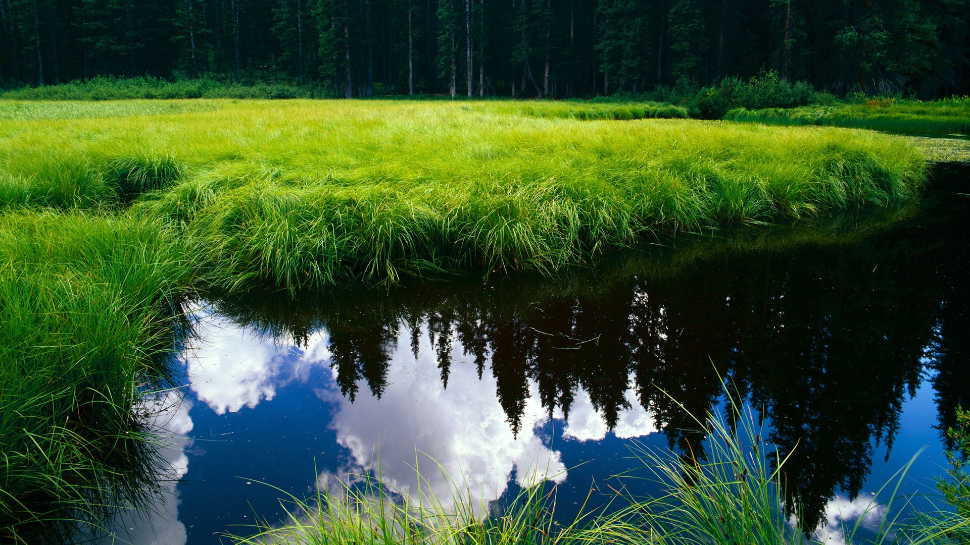 天山脚下,钢铁巨塔,戈贝尔在年度焦点之战中接管比赛的艺术
